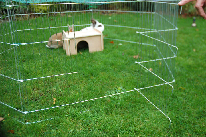 dobar Freilaufgehege